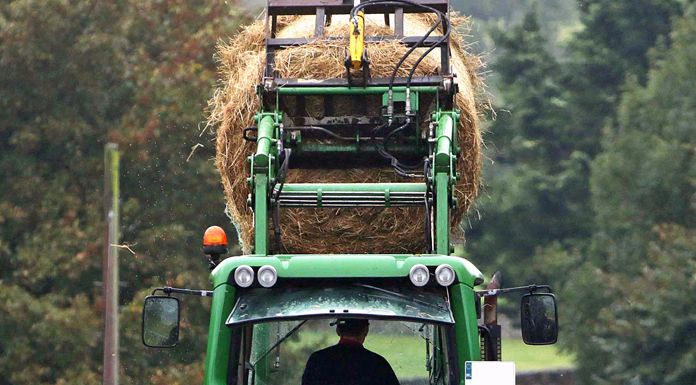 Tipperary farm leader says culling national herd not the answer to meeting green targets