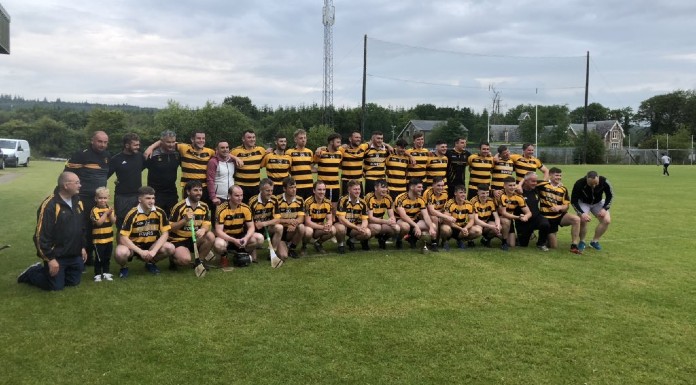 Late goal sees Arravale Rovers crowned 2020 County Junior A hurling champions