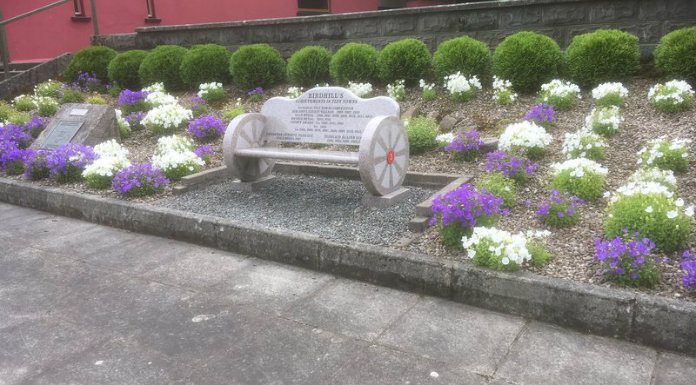 Tidy Towns groups in Tipperary still doing their best despite cancellation of competition