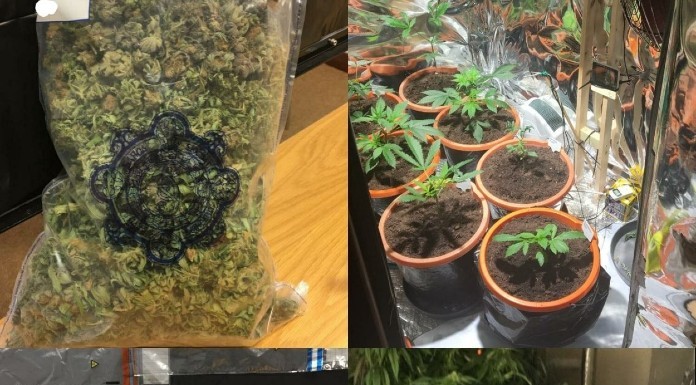 €22k of cannabis herb discovered in Tipperary grow house