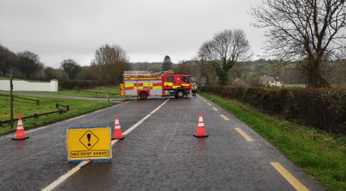 Teenager killed in crash near Cahir