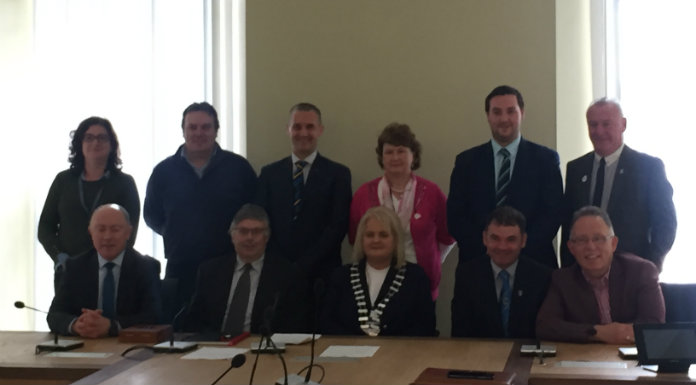 Councillor Imelda Goldsboro elected Cathaoirleach of Carrick on Suir MD