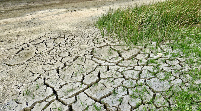 Tipperary students join worldwide campaign on climate change