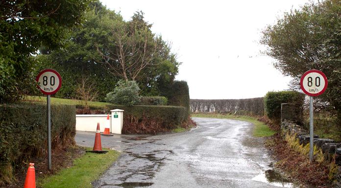 Calls for restrictions on dangerous roadside trees