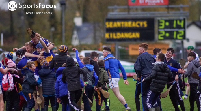 Sean Treacys take County Intermediate Hurling title