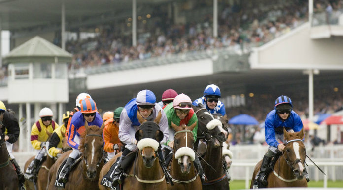 1-2 for Cloughjordan trainer at Galway Festival