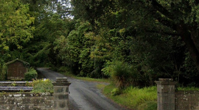 Coillte notes large increase in visitors to Tipperary forest