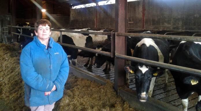 North Tipp farmers fear flooding