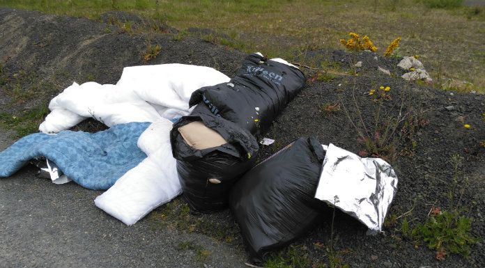 Call for industrial bins to tackle Tipperary fly tipping