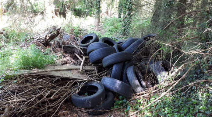 Condemnation of Thurles dumping