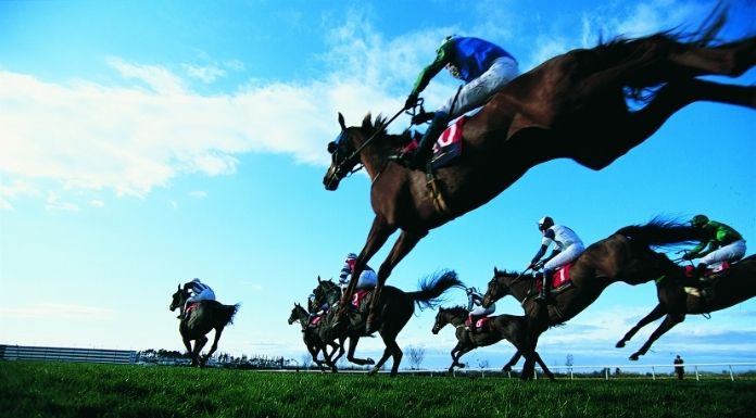 Lots of Tipp success at today’s Dundalk race meeting