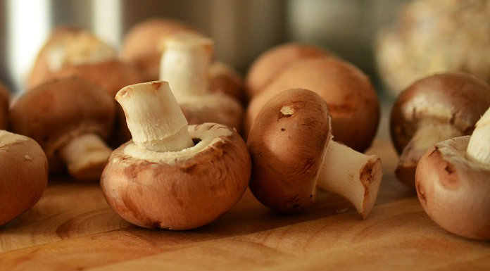 Mushroom facility reaches planning stage