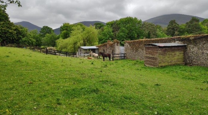 Campsite operator says Tipperary ‘staycation’ demand is strong