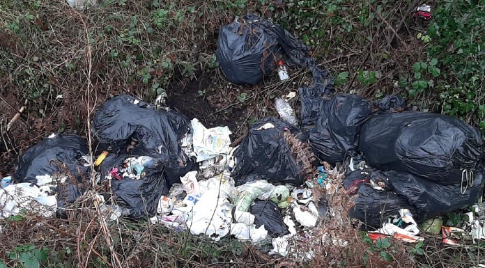 Covid concerns over illegal dumping in Tipperary