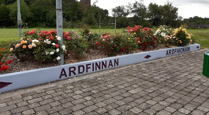 Call for CCTV to be installed following vandalism at Ardfinnan sensory garden