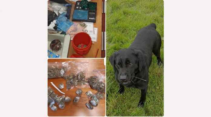 Drug seizure and arrest in North Tipperary