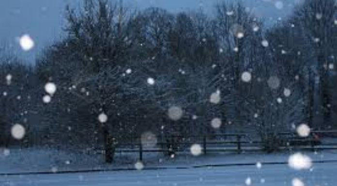 Be prepared for the blizzard, say Tipp CoCo