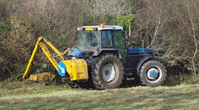 Tipperary Councillor calls for abolition of hedge cutting closed period