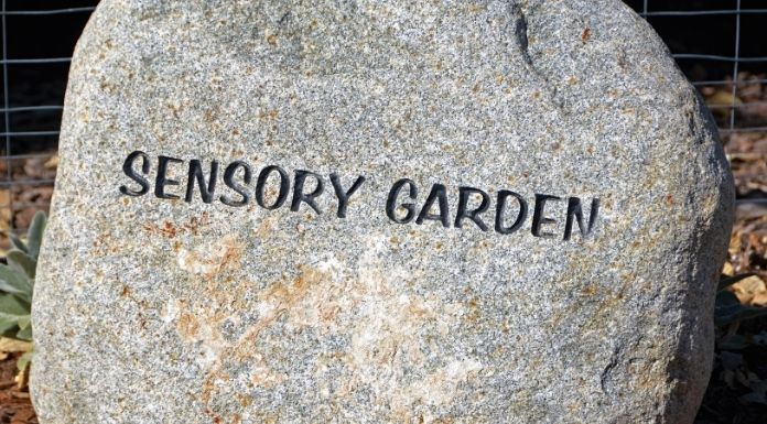 Councillor pushes for sensory garden for Clonmel