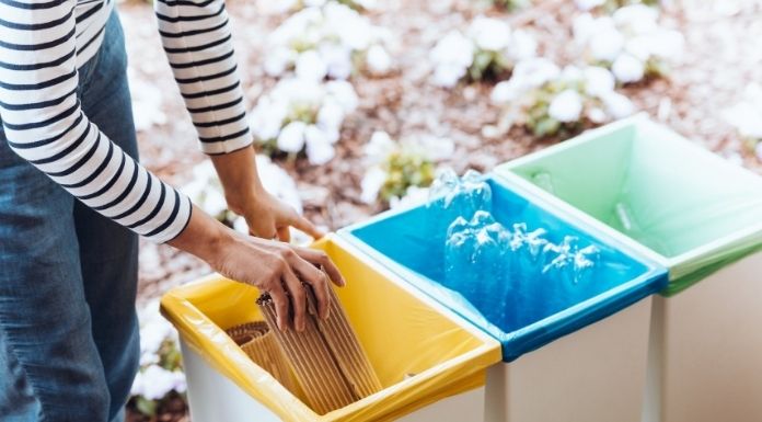 Businesses in Carrick-on-Suir and Thurles shortlisted for environment award