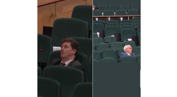 Sleeping Beauties in the Dáil