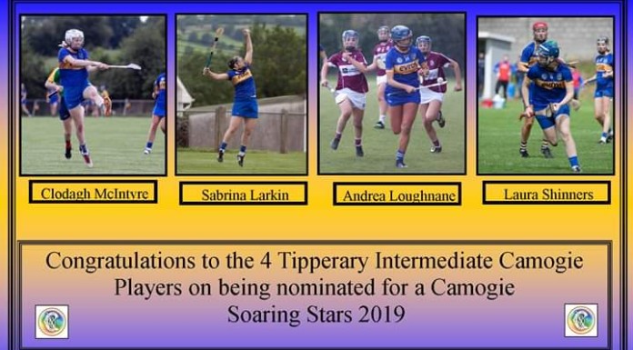 Tipp in line for further Camogie honours