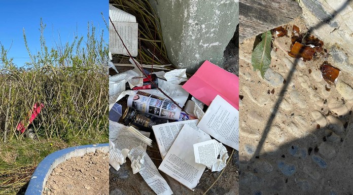 Glass smashed and books destroyed in vandalism at Two Mile Borris sensory garden