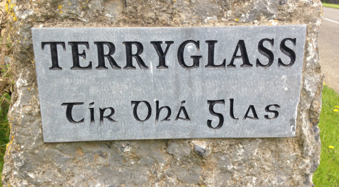 Business calls for increased facilities in Terryglass