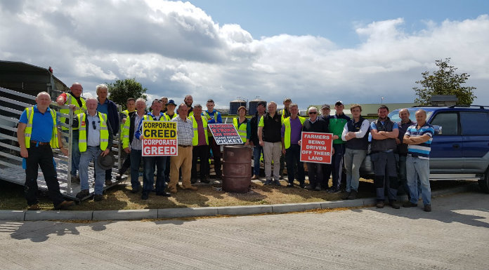 Beef farmers continue protests at ABP plants in Nenagh & Cahir