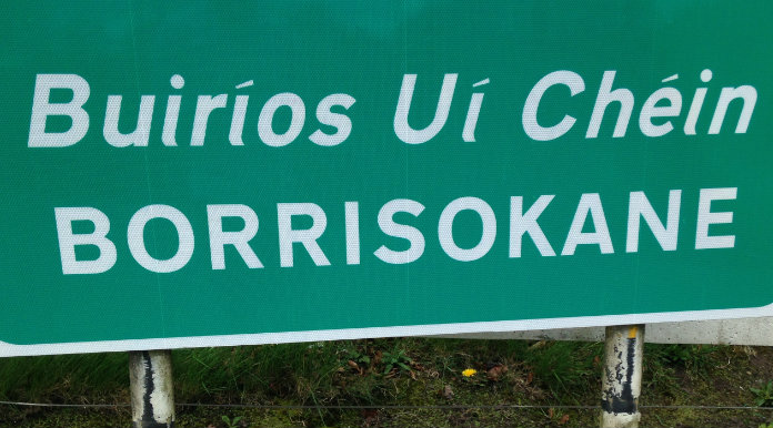 Emergency roadworks needed in Borrisokane