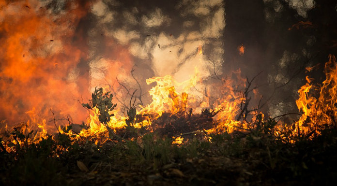 People reminded of the danger of forest fire risks this weekend