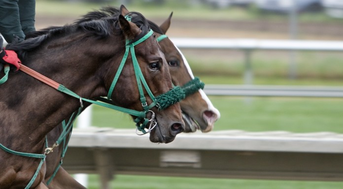 34 race meetings to take place across Tipperary in 2022